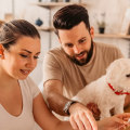 Employee Retirement Benefits: A Comprehensive Guide